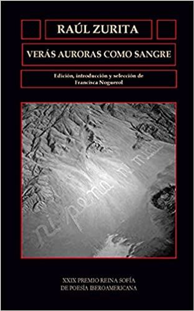 Verás auroras como sangre - Raúl Zurita
