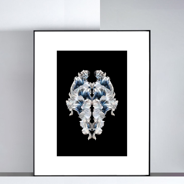 Imago Betta Blanc | Tirage 1/8