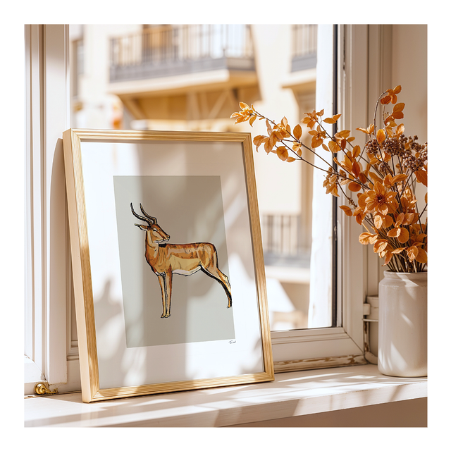 &#039;Springbok&#039; art print