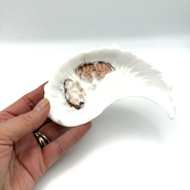 Aile d’Ange blanche avec nuances de bronze