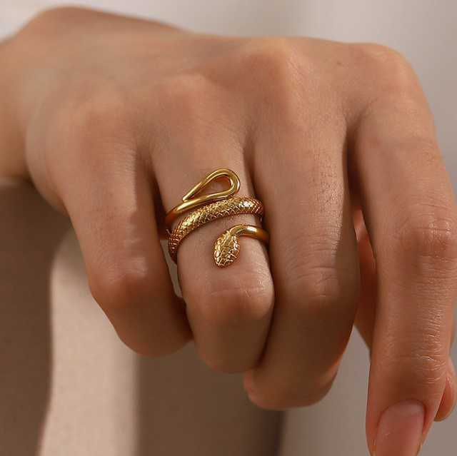 Serpent Stainless Steel Ring