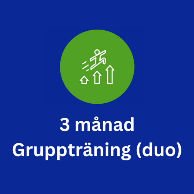 3 månad Gruppträning (duo)