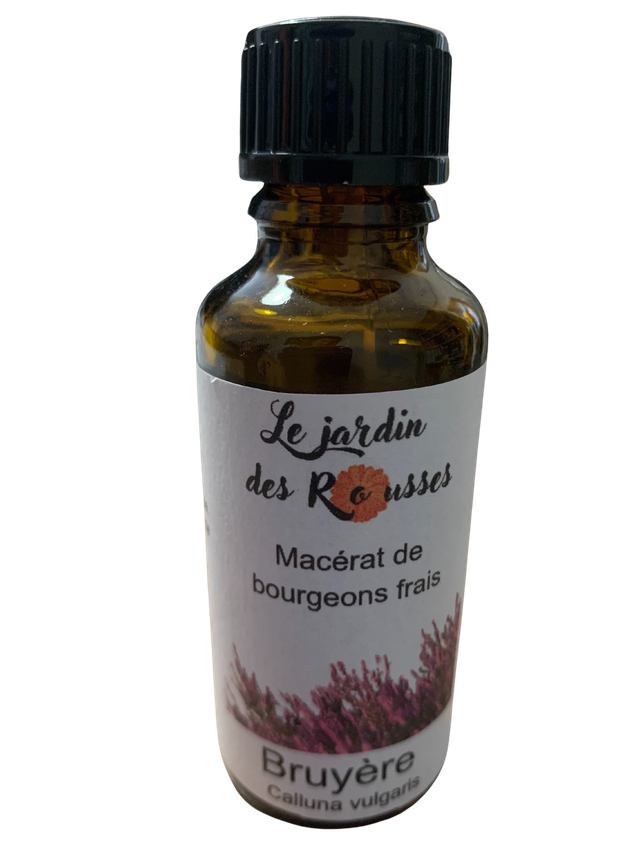 BRUYERE -  Macérât glycériné de bourgeons Flacon de 30 ml 