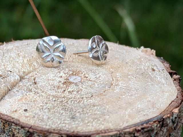 Large Sand Dollar Earrings 