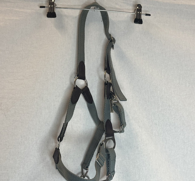 Licol foal vert Showmaster 