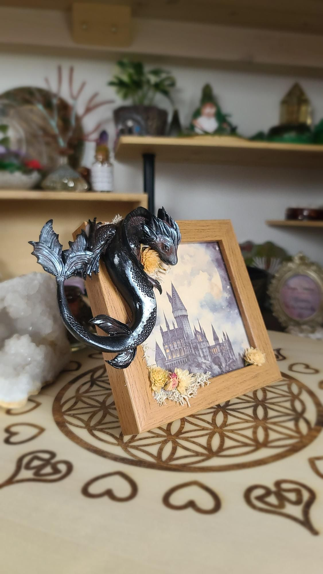 Cadre photo ✨️ Dragon de Terre 🐉 Shungite