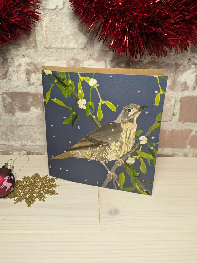 Christmas Cards - Birds by Windsock Press