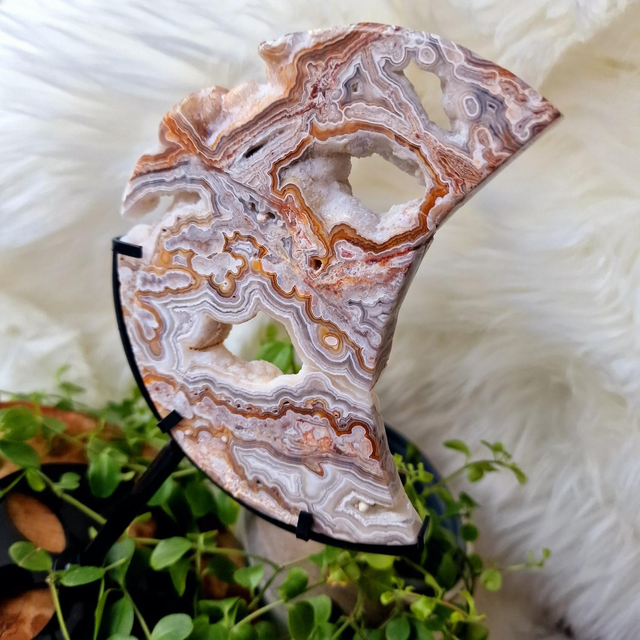 Mexican Crazy Lace moon on stand 