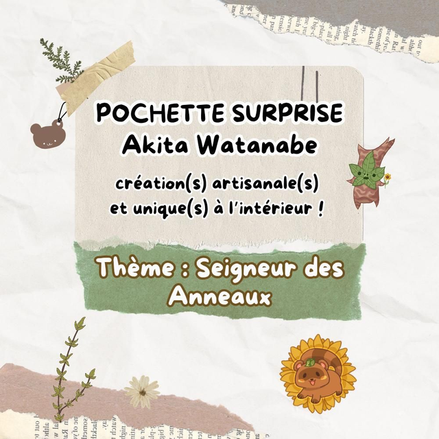 Pochette surprise Seigneur des Anneaux
