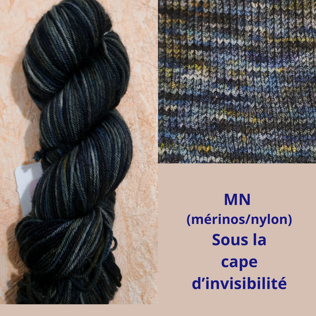 MN Sous la cape d'invisibilité