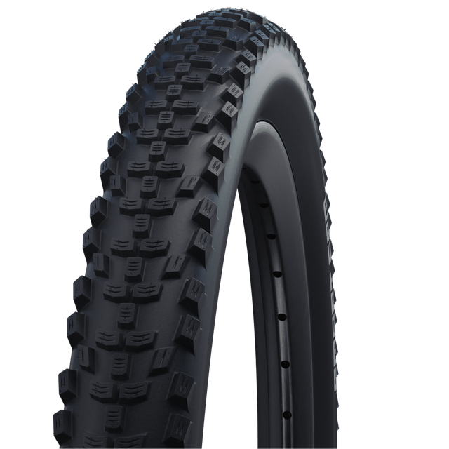 Schwalbe Smart Sam ADDIX Perf.