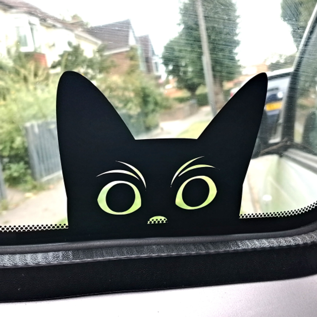 Peeking Cat Car Sticker - Car Window Sticker