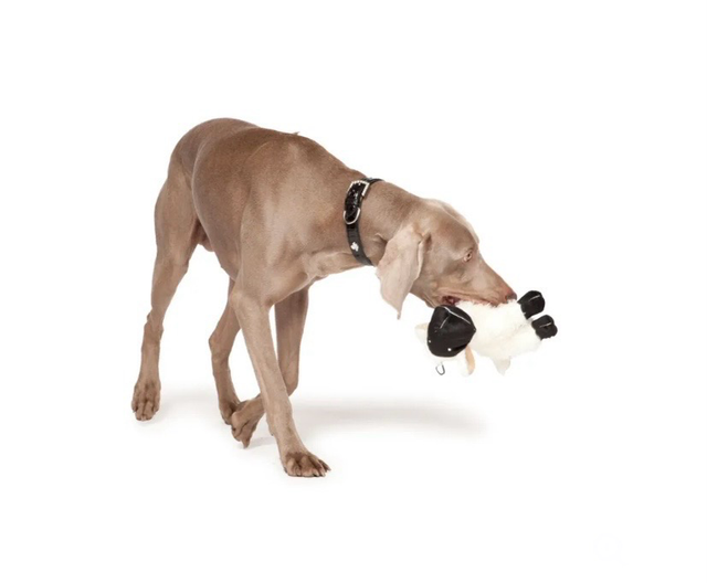 Danish Design Sheamus The Sheep Toy