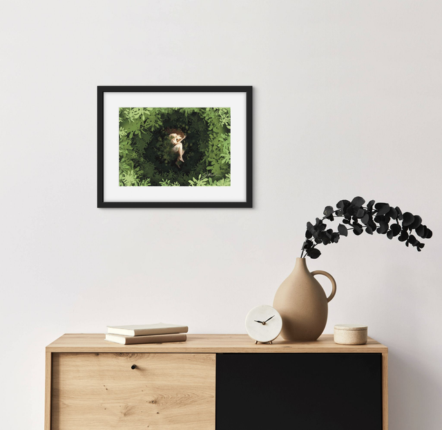 Dans l&#039;ombre se trouve un nid de résilience