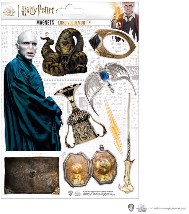 Plaque de 8 magnets mousse Lord Voldemort - Harry Potter