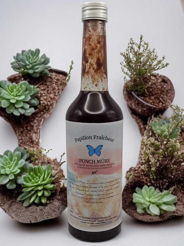 Punch Mûre 