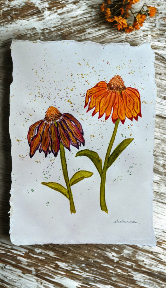 Deux échinacées - Aquarelle originale A4