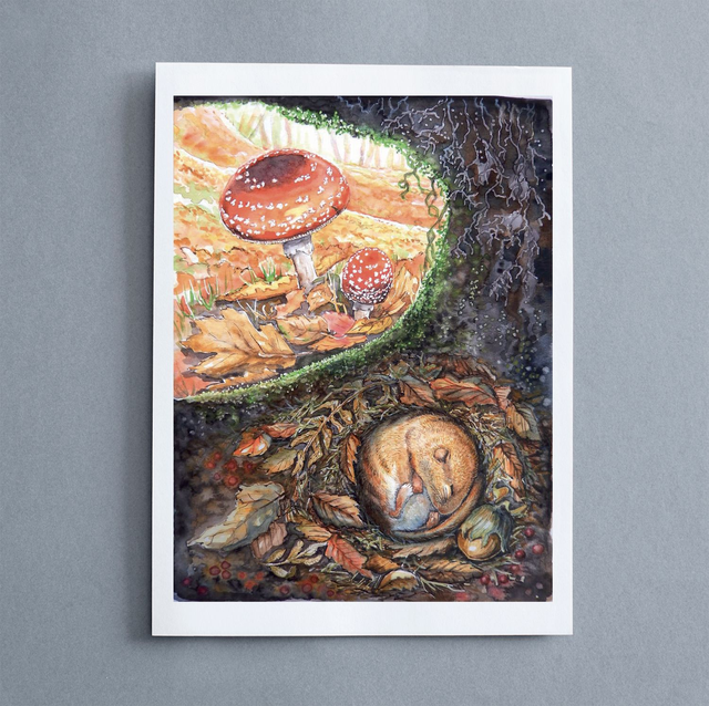 "Animali del Bosco, serie 2" - Riproduzioni numerate