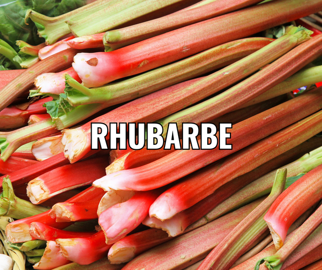 Confiture Rhubarbe 250g