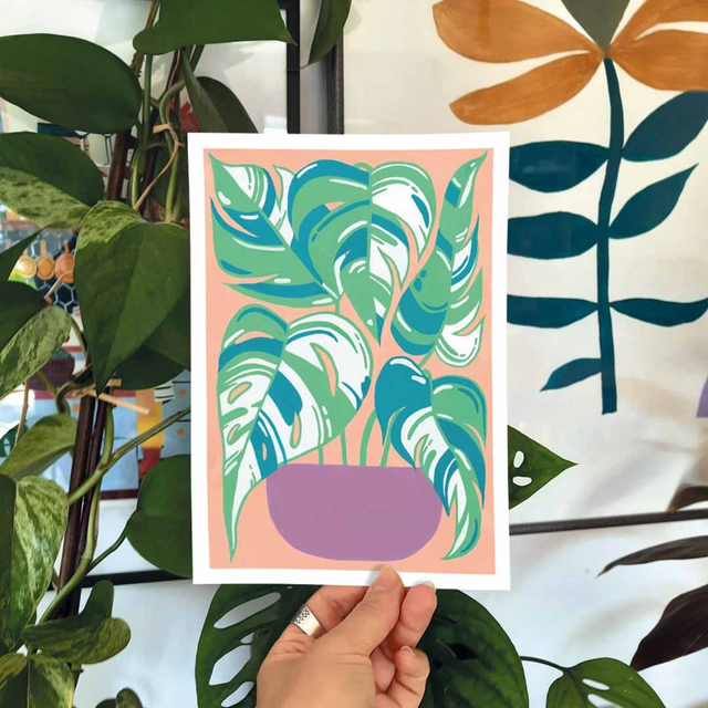 Print &quot;Monstera albo&quot;