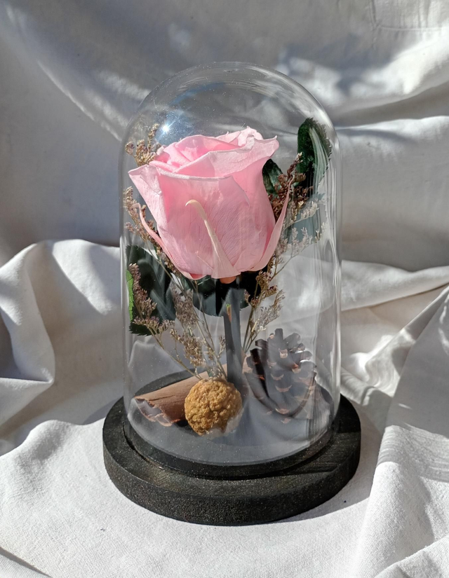 FdM05 je t'aime en rose