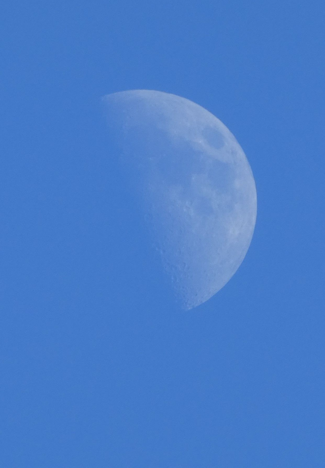 Photographic Open Edition Print, from my "Up High" collection, "Blue Moon"