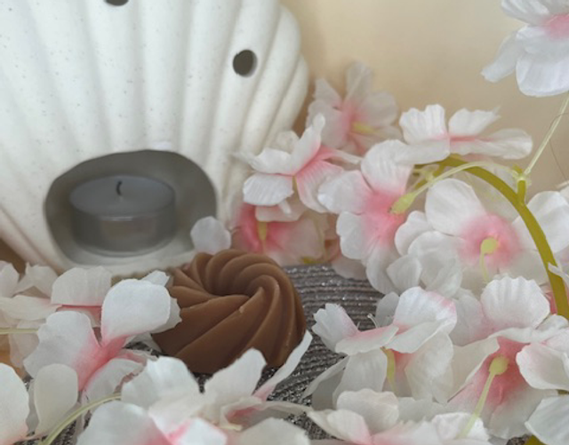 Fondant parfumé Choco noisette - 18 grammes