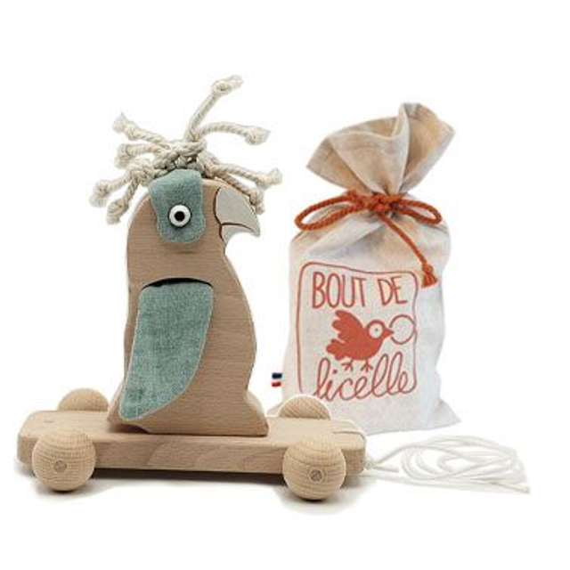 Le Pochon : Anicet le Perroquet + sa Planche à Roulettes