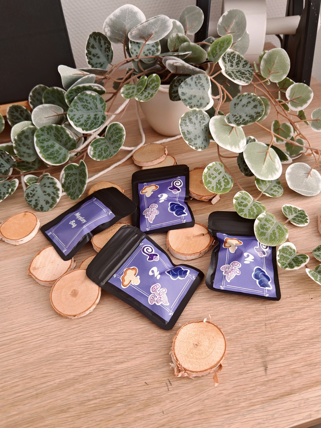 Mushroom - Mystery Bag