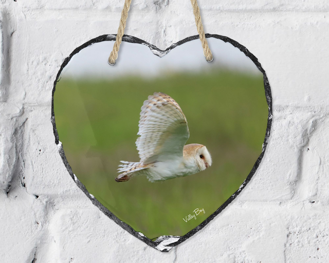 “Barn Owl” Heart Slate 