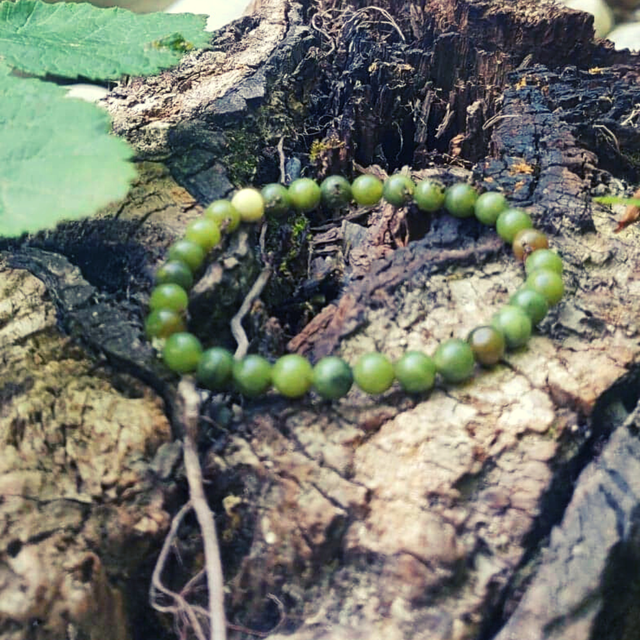 Serpentine Bracelet 6 mm