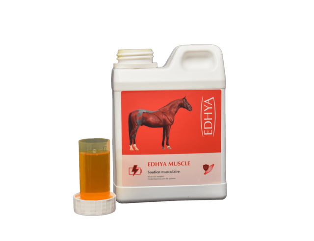 Edhya MUSCLE 1 L