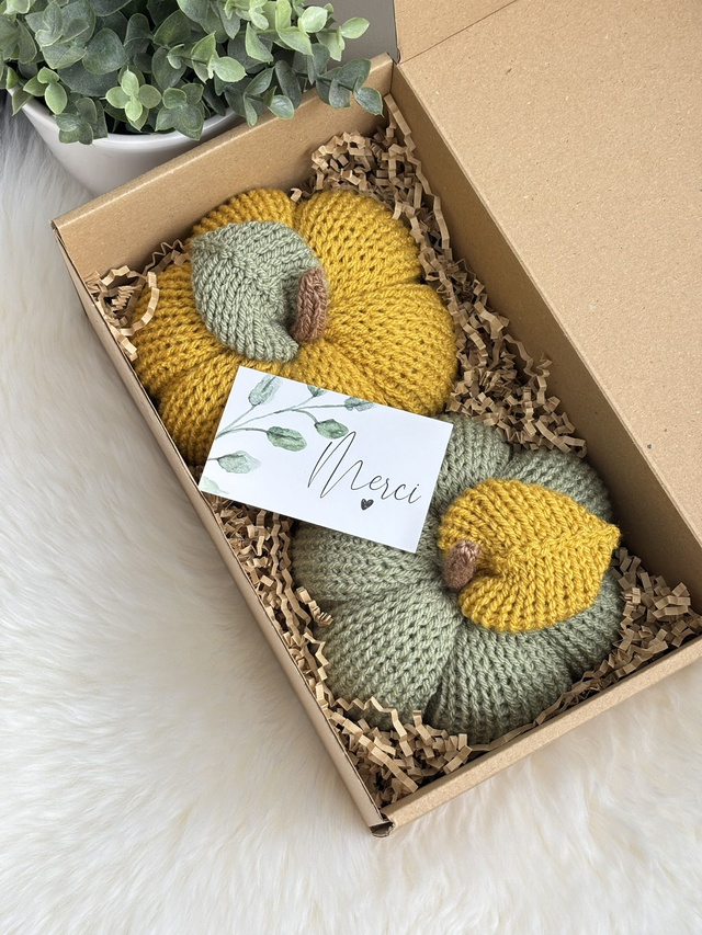 Citrouilles (Lot de 2)  