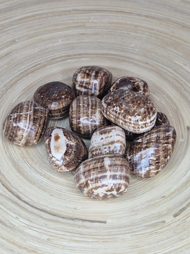 Aragonite - Pierre roulée 