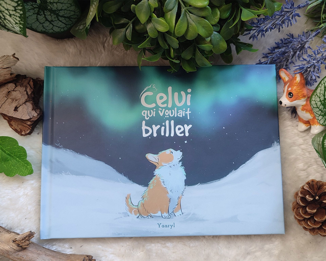Livre Celui qui Voulait Briller