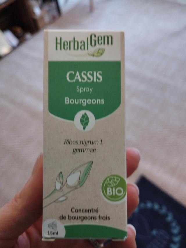 Bourgeon de Cassis en spray