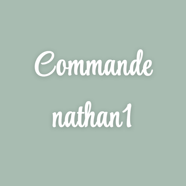 Commande nathan1