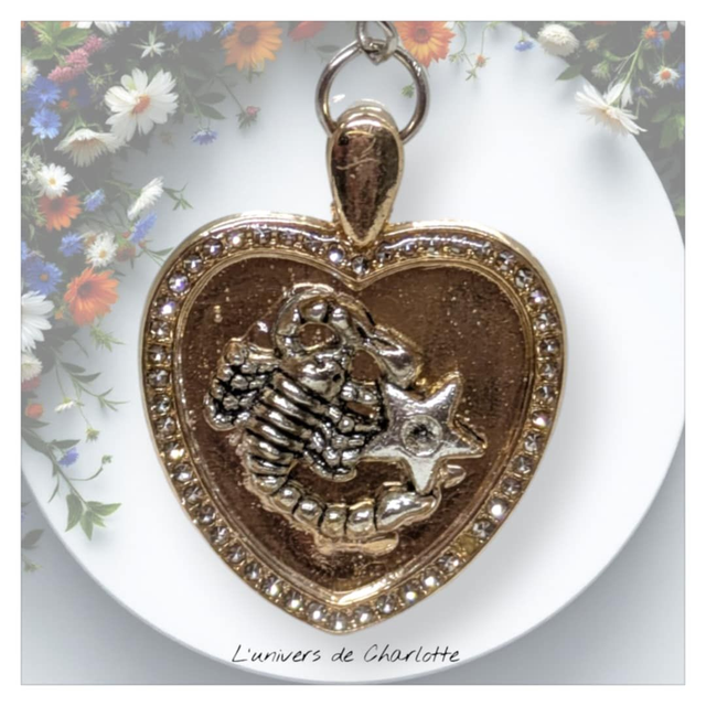Porte-clés "Zodiaque" coeur
