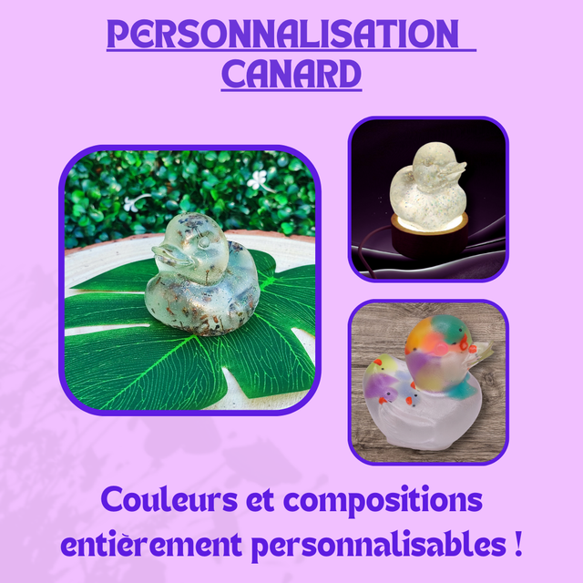 Personnalisation Canard