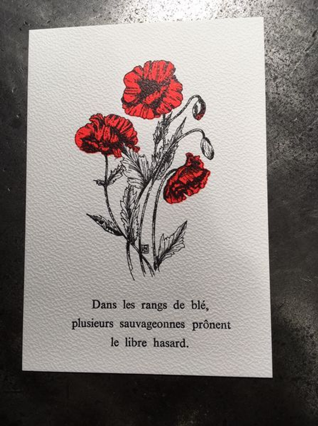 Lot de 2 cartes postales - typographie