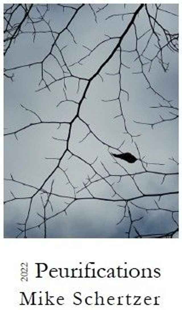 Peurifications (recent additions to A Personal Dictionary)