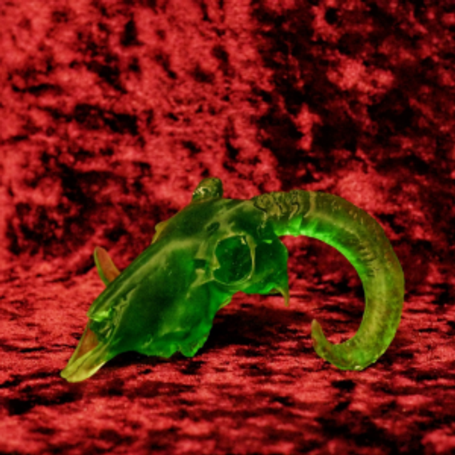 Translucent Green 'Phillip'