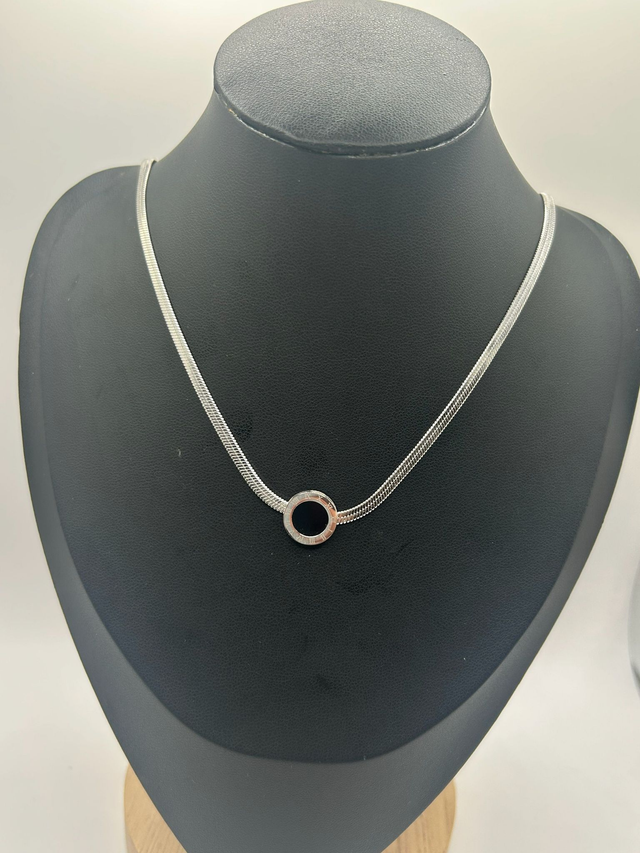 Stainless Steel Necklace (SSN34J)