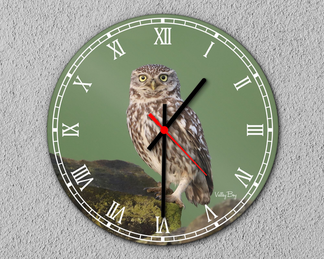 “Little Owl” Clock 