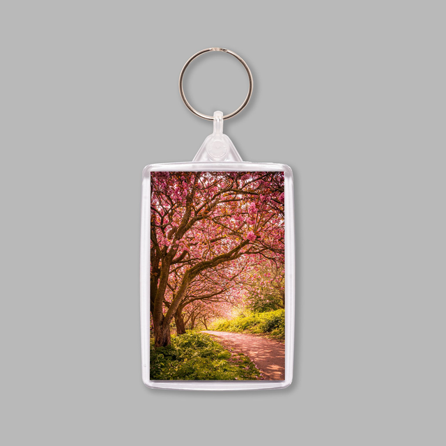 Blossoming Relationship, Saltburn