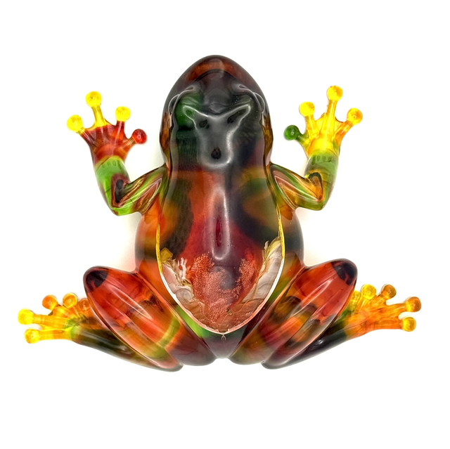 Grenouille "Bob Marley"