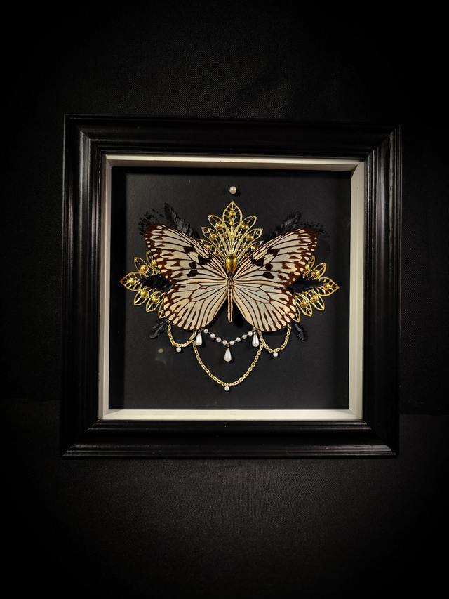 Cadre Papillon Idea Idea 