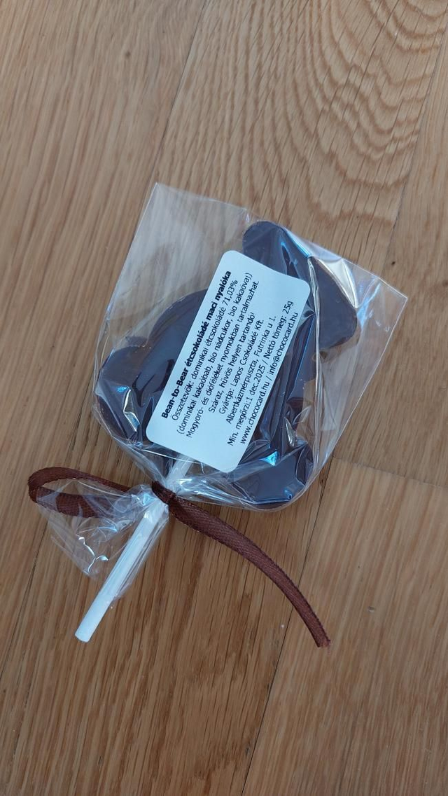 ChocoCard Teddy Bear Lolly (dark chocolate)