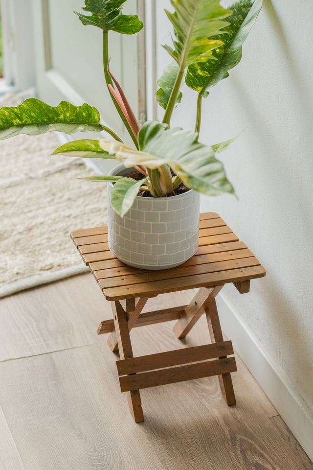 Tabouret pliant en bois 🪴