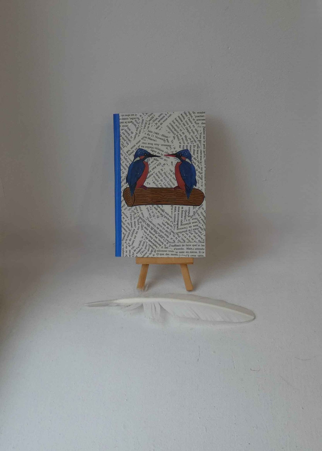 La réunion des martins-pêcheurs du petit carnet quadrillé